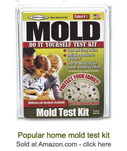 Home mold test kit