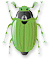 Pest Control, Mold