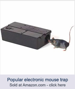Home mouse trap